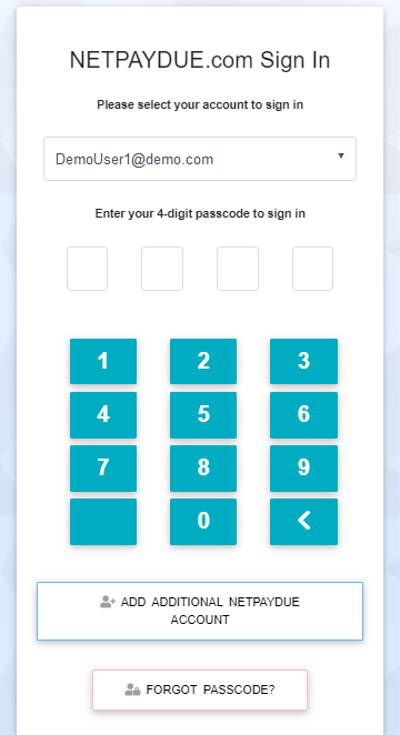 API Integration with NetPayDue
